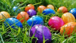 Easter eggs in grass